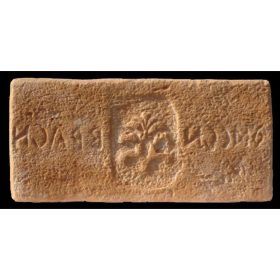 Rovásírás mintájú címeres tégla